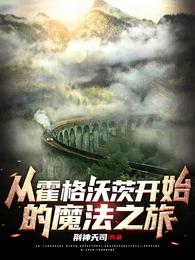《从霍格沃茨开始的魔法之旅》封面